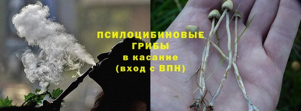 стафф Арсеньев