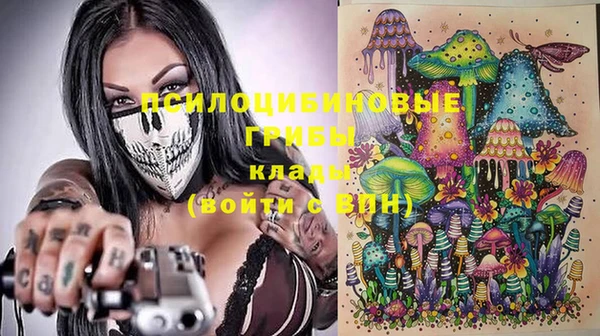 альфа пвп Армянск
