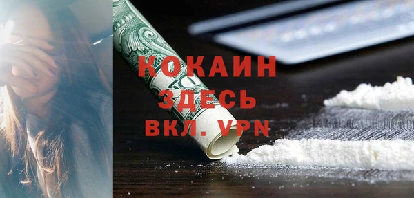 стафф Арсеньев