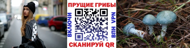 кракен ССЫЛКА  Колпашево  Псилоцибиновые грибы прущие грибы 