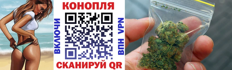 купить   Колпашево  Бошки марихуана сатива 